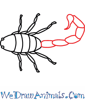 300x350 How To Draw A Scorpion