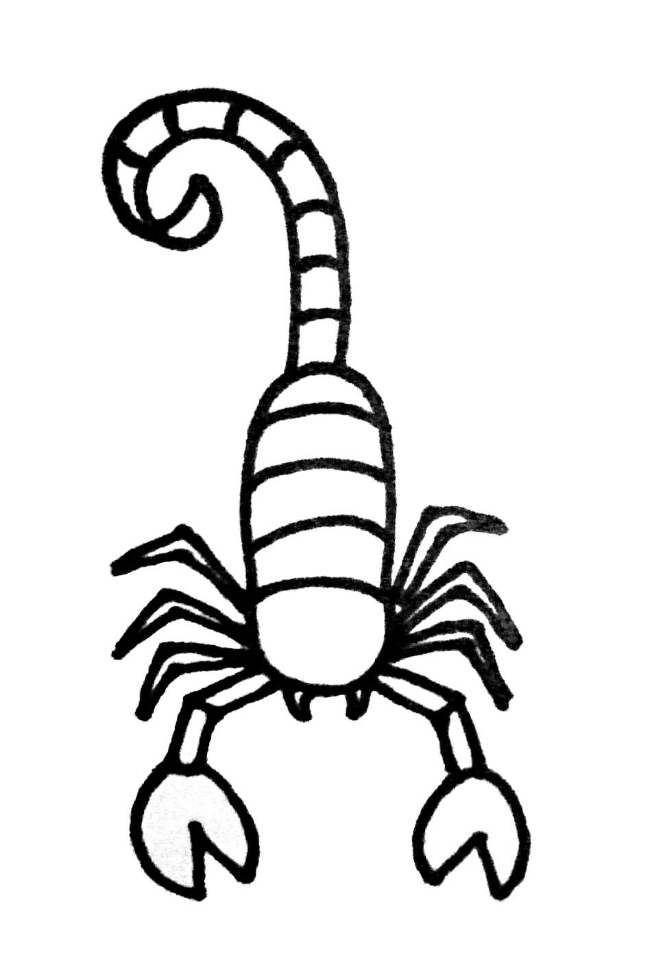 970x1428 How To Draw A Scorpion For Kids