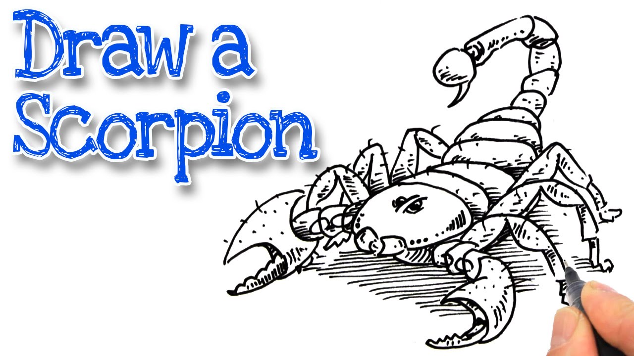 1280x720 How To Draw A Scorpion Real Easy