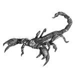 150x150 Scorpions Drawing Tutorials