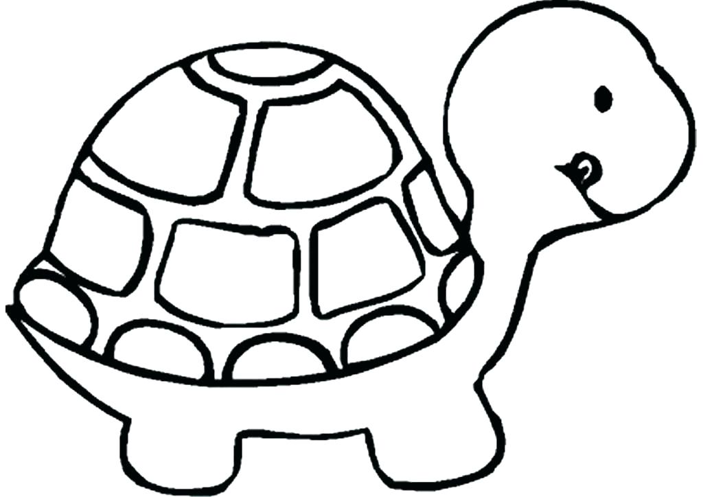 1024x724 draw a turtle easy click the image to enlarge draw cartoon turtle