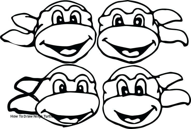 736x496 easy drawings of turtles how to draw a turtle red eared slider