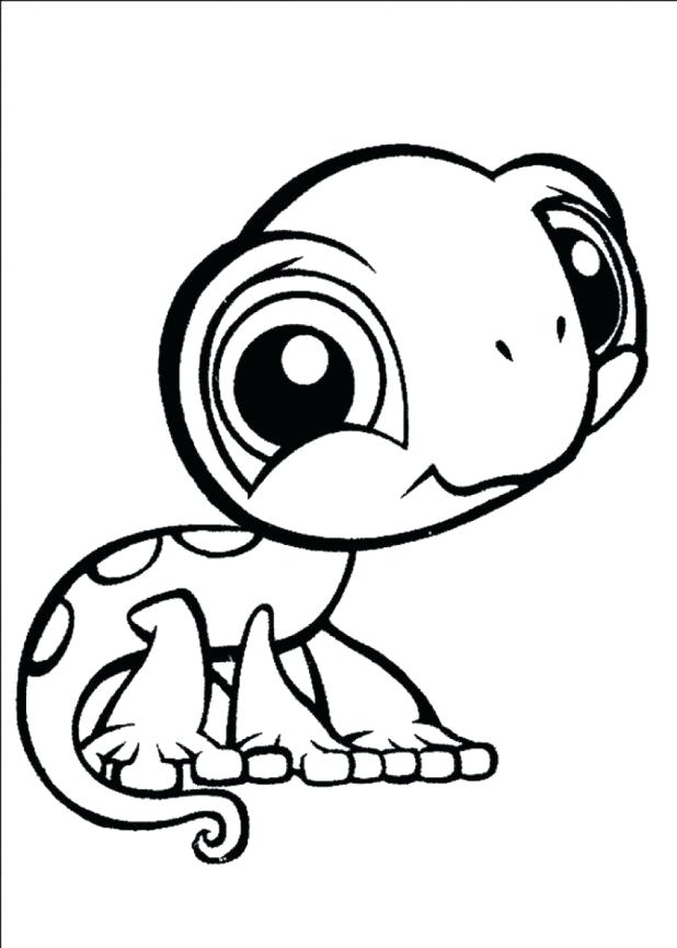 618x866 Turtle Cartoon Drawing