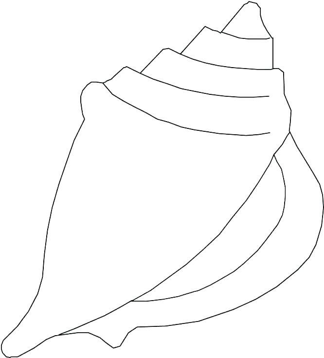 666x736 Easy Seashell Coloring Pages Clam Coloring