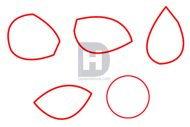 740x496 How To Draw Shells, Step