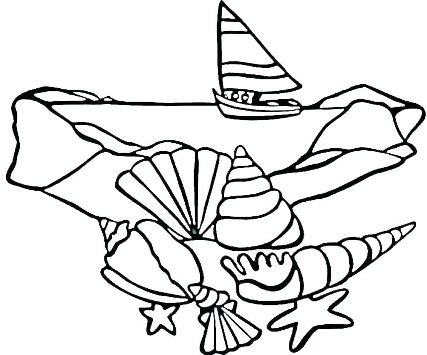 860x716 Pictures Of Seashells Coloring Pages