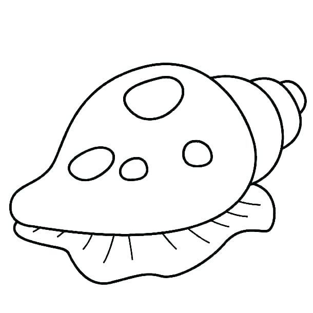 610x610 Seashells Coloring