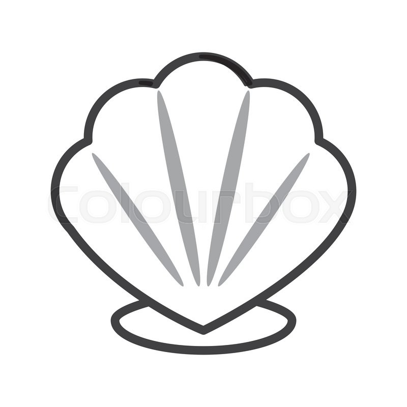 800x800 Seashell Drawing Cartoon For Free Download