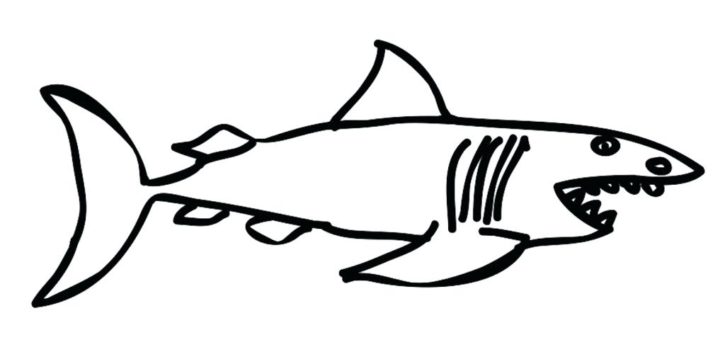 1024x497 How To Draw A Shark Simple Drawing Of A Shark How To Draw A Cool