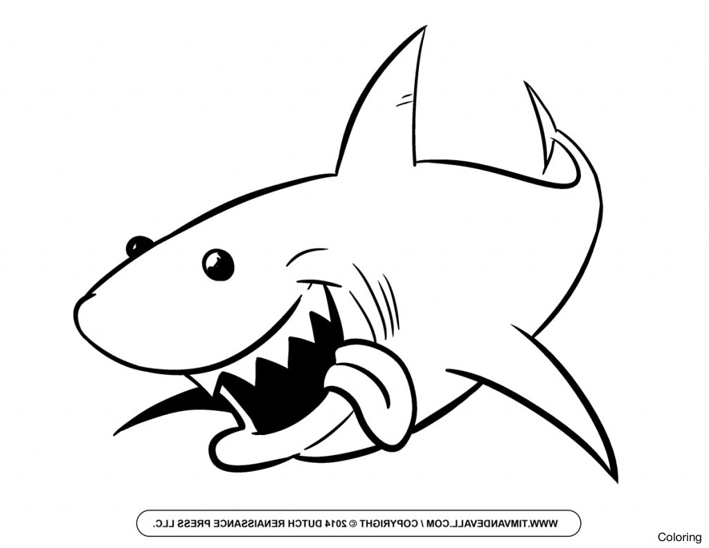 1024x791 Shark Drawing Free Download