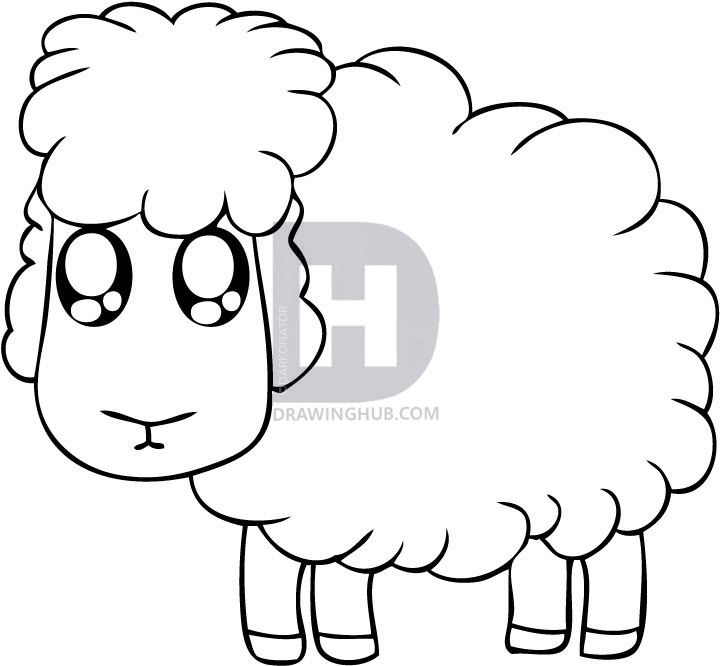 721x666 How To Draw A Cartoon Sheep, Step