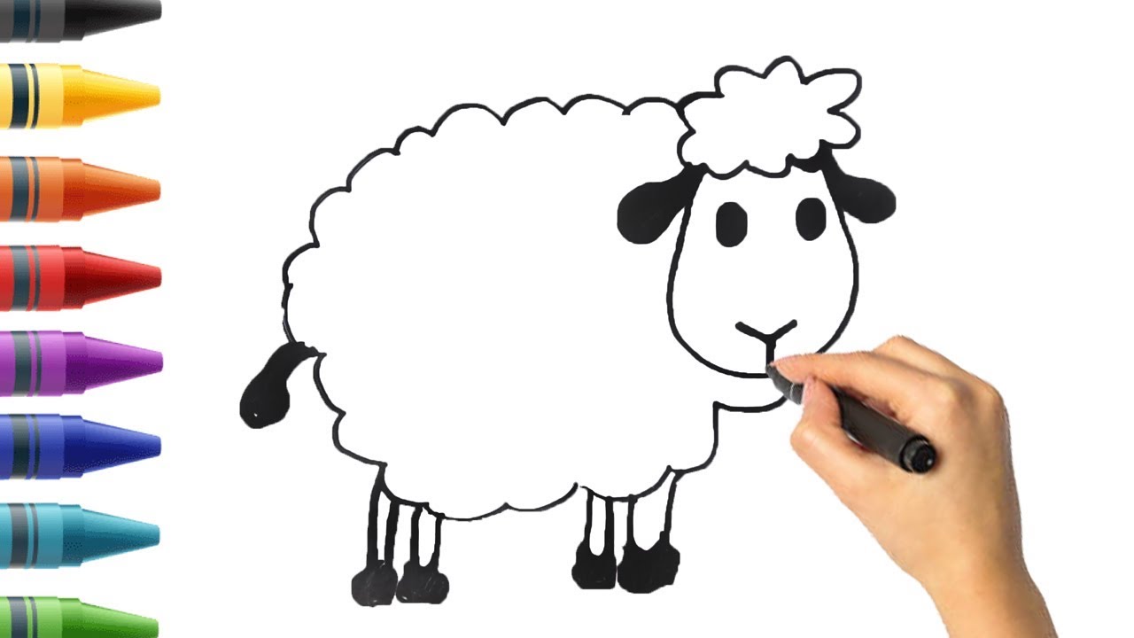 Collection of Sheep clipart | Free download best Sheep clipart on ...