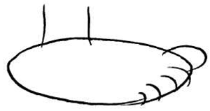 300x159 How To Draw Cartoon Feet Shoes When Drawing Comics Cartooning