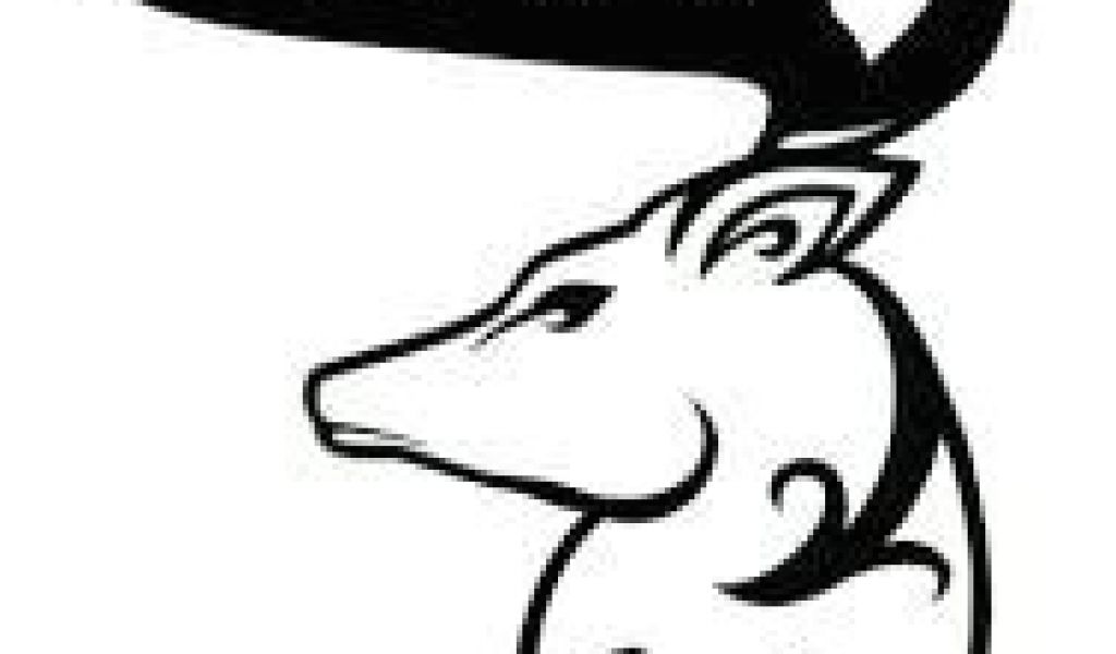 1024x600 Drawing A Skull Easy Image Result For Deer Skull Drawing Easy Wood