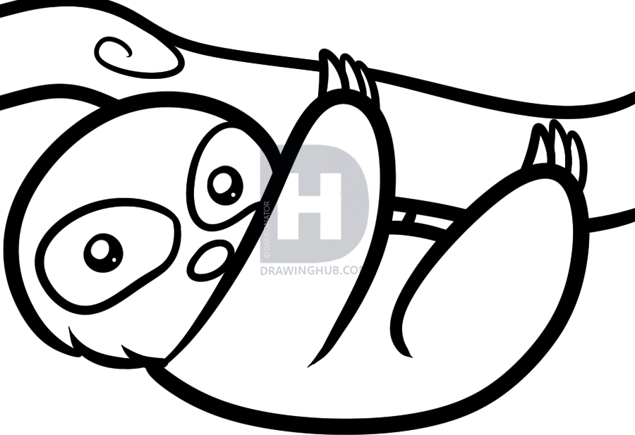 900x617 How To Draw A Sloth For Kids, Step