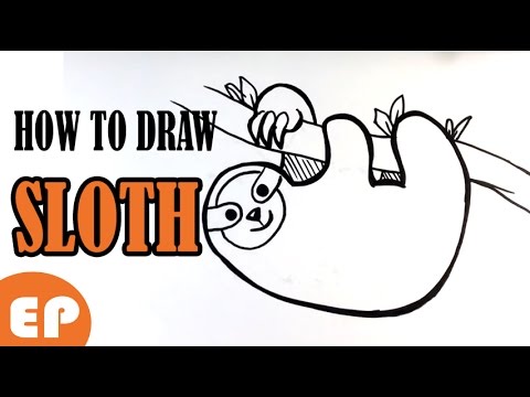 480x360 How To Draw A Sloth