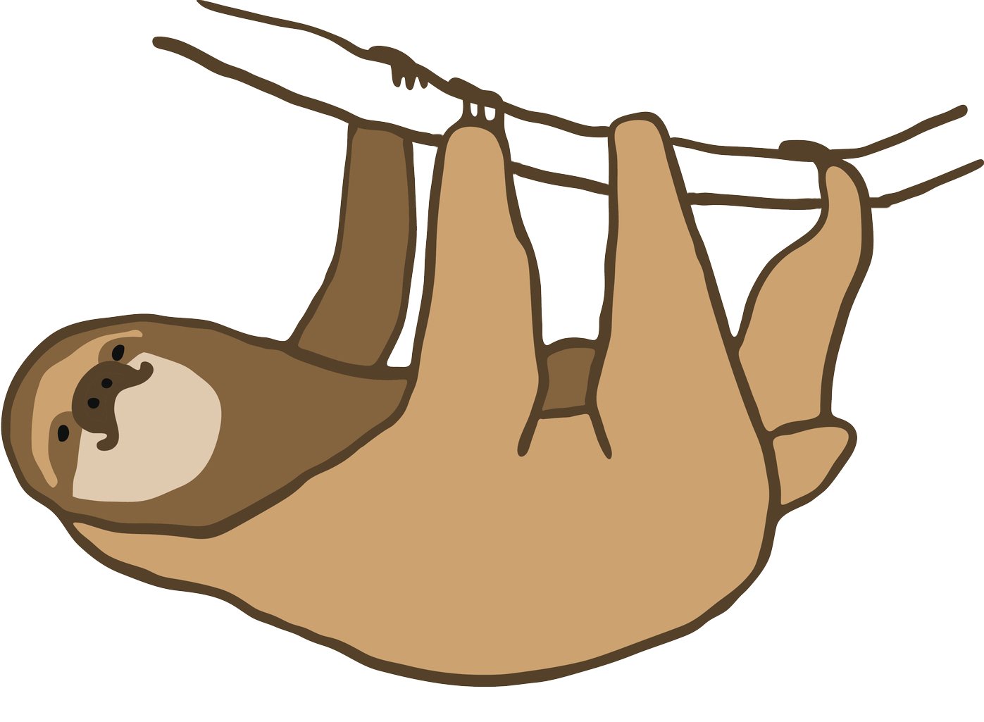  Easy Sloth Drawing Free download on ClipArtMag