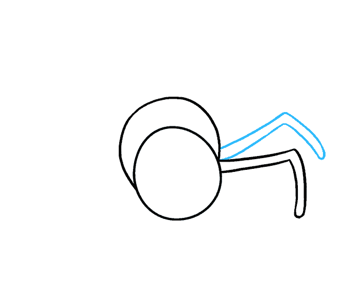 678x600 How To Draw A Cartoon Spider In A Few Easy Steps Easy Drawing Guides