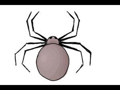 480x360 How To Draw A Simple Spider