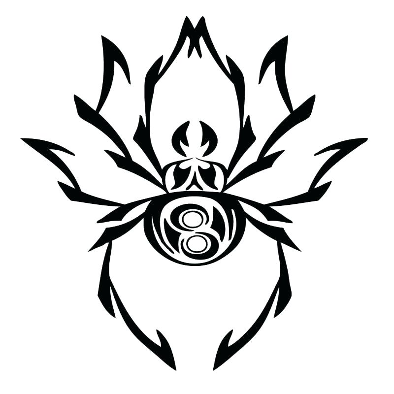 800x800 Simple Spider Drawing Simple But Important Things To Remember