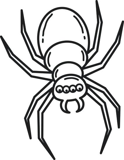 426x550 Spider Drawing For Kids Easy Coloring Animals For Kids Spider