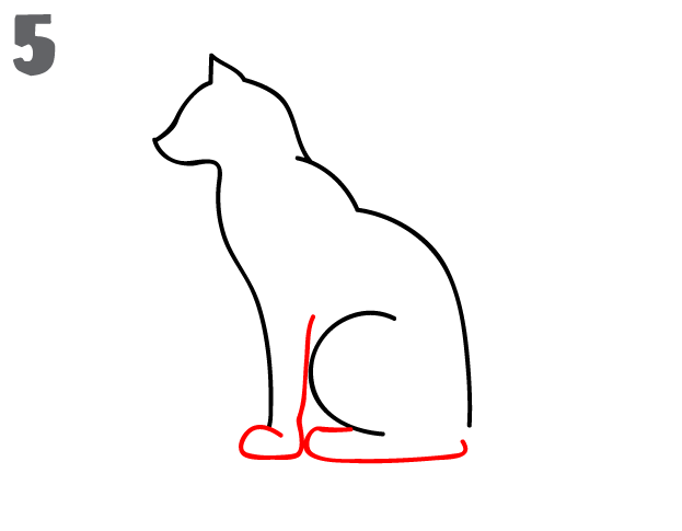 623x485 How To Draw A Cat
