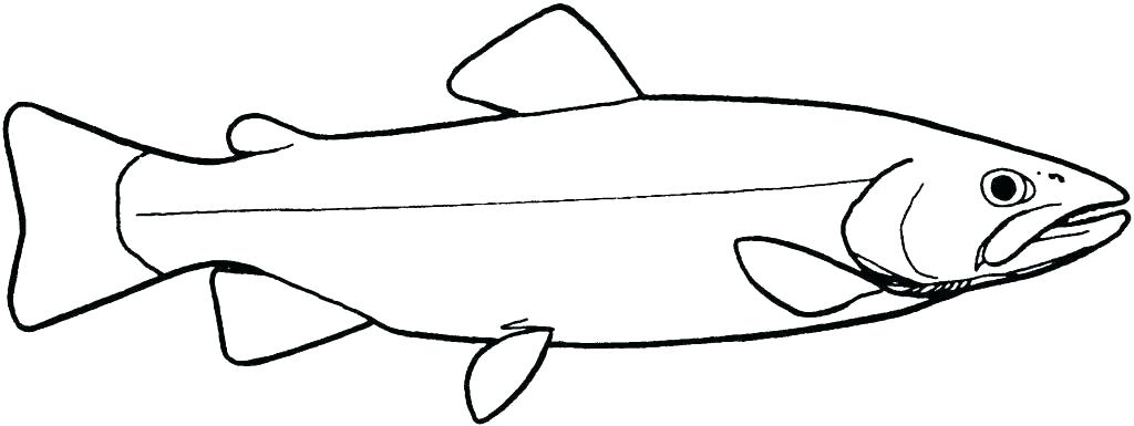 1024x385 Draw Simple Fish