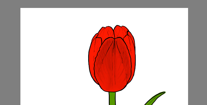 700x357 how to draw flowers the noble and sincere tulip