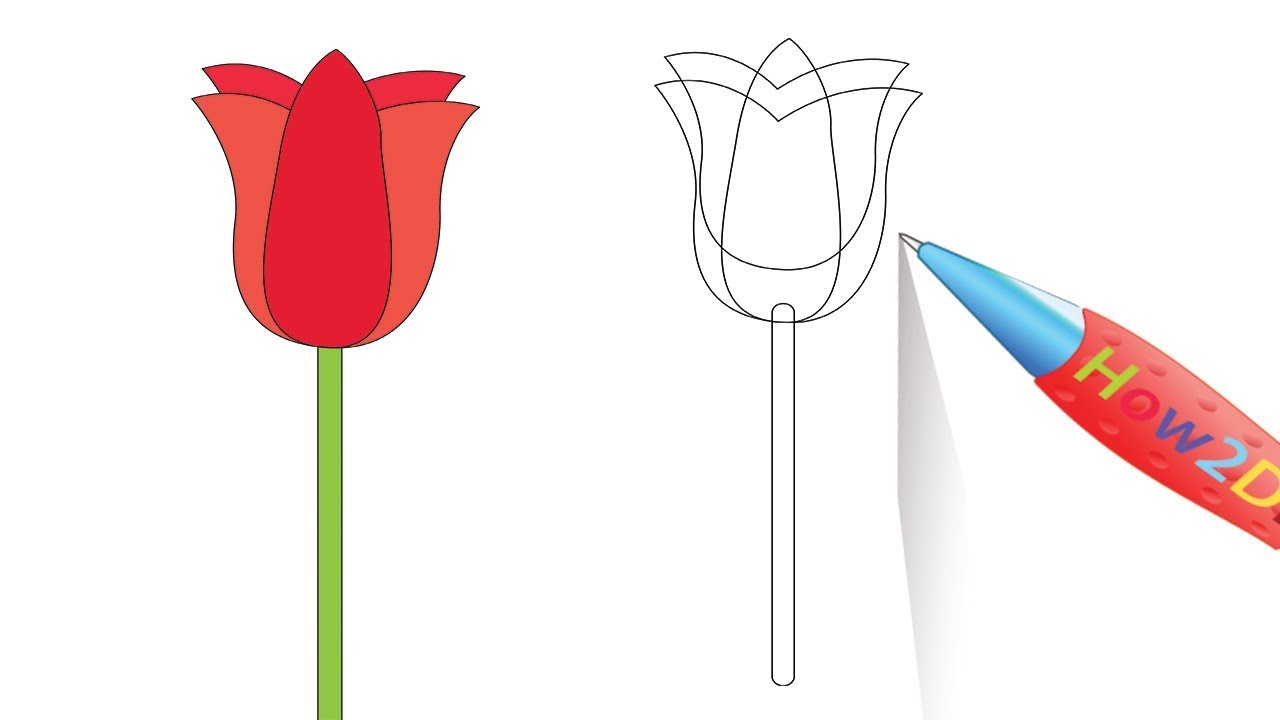 1280x720 How To Draw A Tulip Easy Drawing