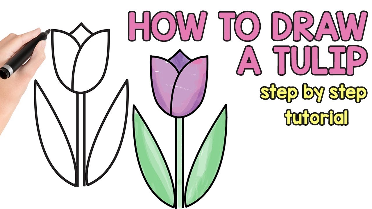 1280x720 How To Draw A Tulip Tutorial For Beginners And Kids