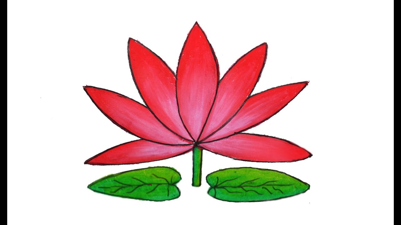 1280x720 How To Draw Water Lily Easy And Simple Shapla Ful Art