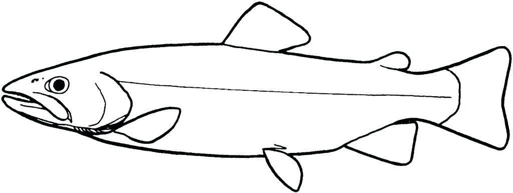 1024x385 Draw A Fish Easy Running