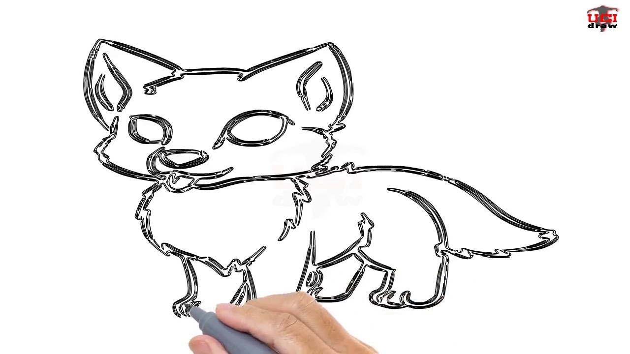 1280x720 How To Draw A Wolf Pup Easy Step
