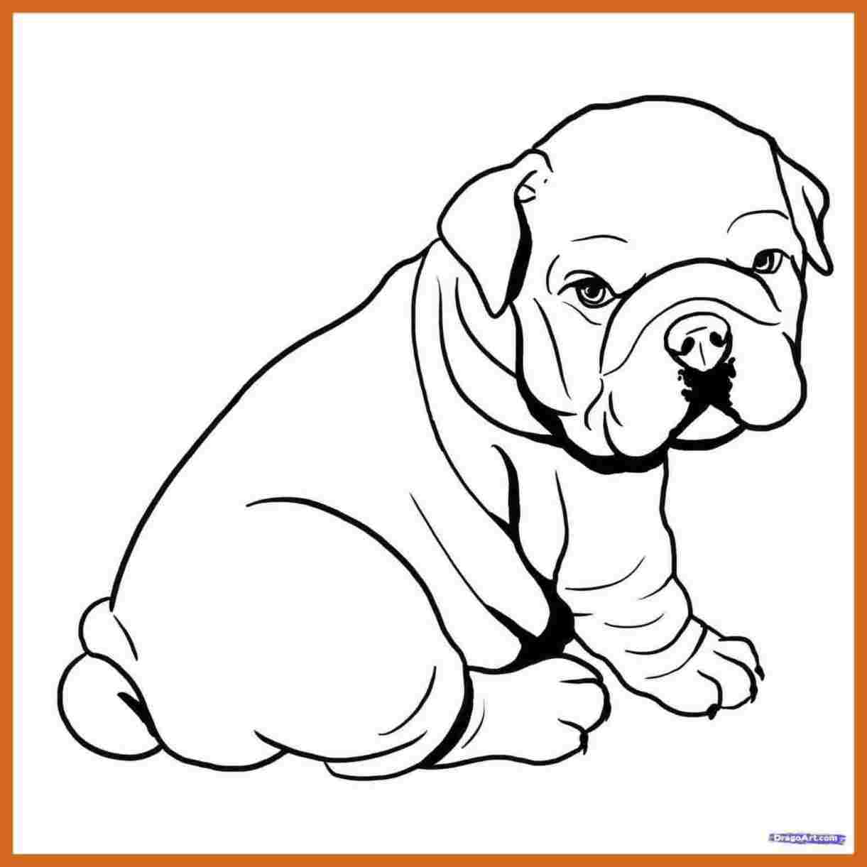 1221x1221 Huge Collection Of 'cute Wolf Pup Drawing' Download More Than