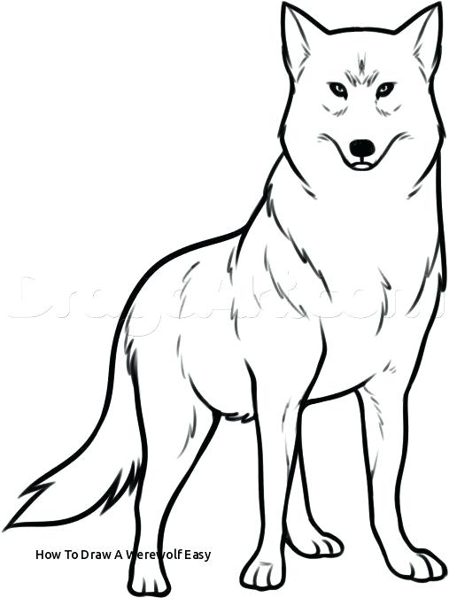 507x675 How To Draw Werewolf