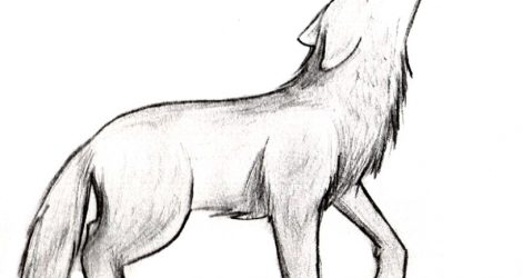 Easy Wolf Drawing Tutorial | Free download on ClipArtMag