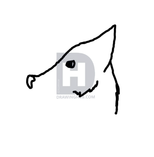 318x324 How To Draw An Easy Wolf Head, Step