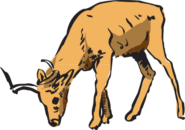 600x424 Collection Of Free Drawing Deers Eating Download On Ui Ex