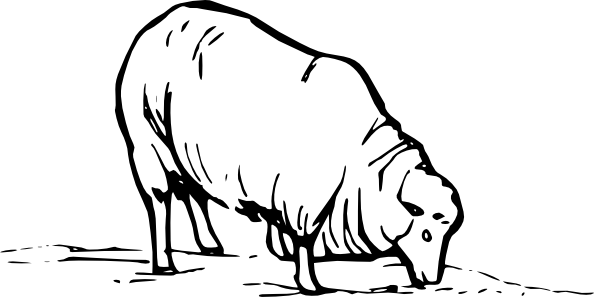 594x297 Earting Sheep Clip Art