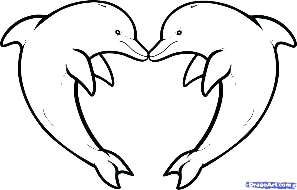 1024x654 How To Draw An Easy Dolphin