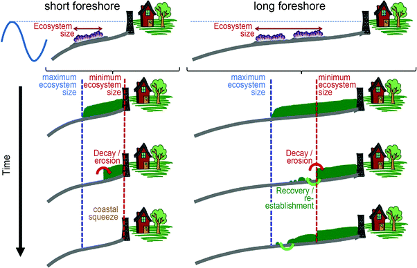 602x388 Environmental Impacts Coastal Ecosystems Springerlink