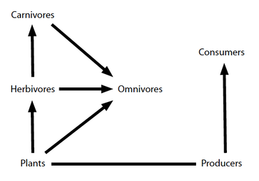 371x259 Lesson Players In Our Ecosystem