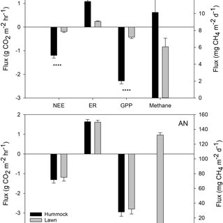 320x320 Mean Net Ecosystem Exchange