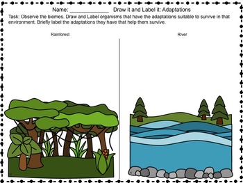 350x263 Science Packet Ecosystem Interactions