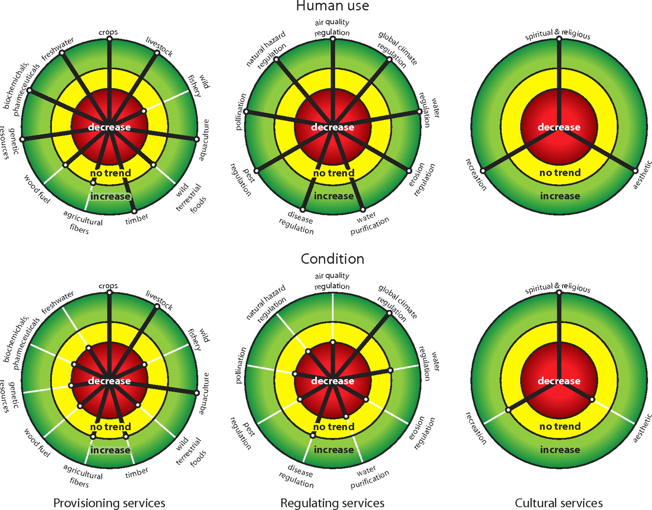 1280x1002 Science For Managing Ecosystem Services Beyond The Millennium