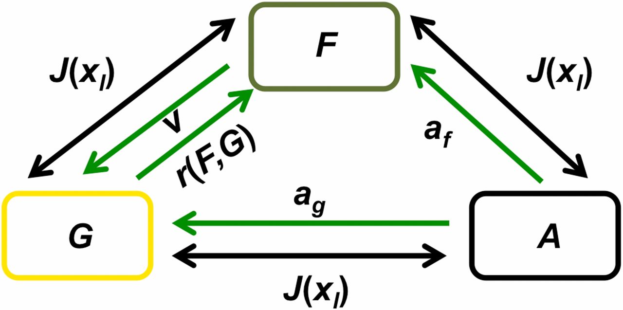 1280x637 Alternative Stable States And The Sustainability Of Forests