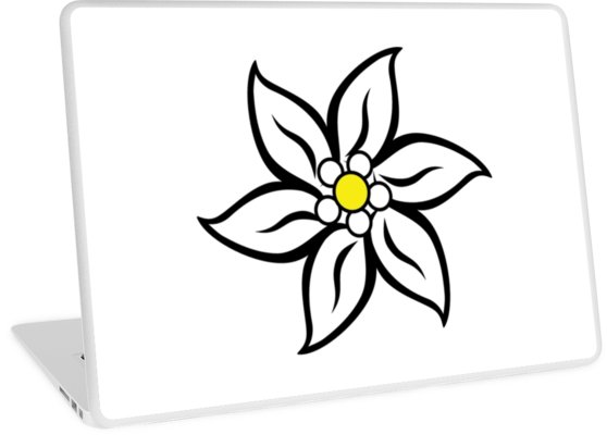 558x400 edelweiss flower germany switzerland austria bavaria munich alps