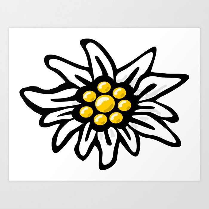 700x700 Edelweiss Flower Art Print