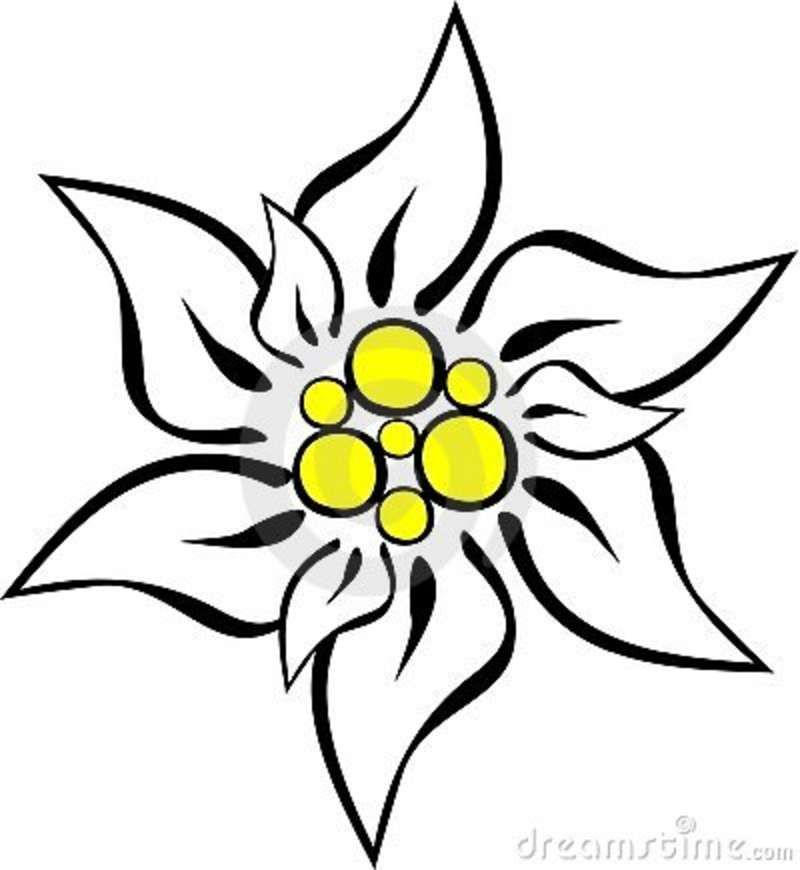 800x870 Edelweiss Tattoo Inspiration For My Mom Because She Sang Me That