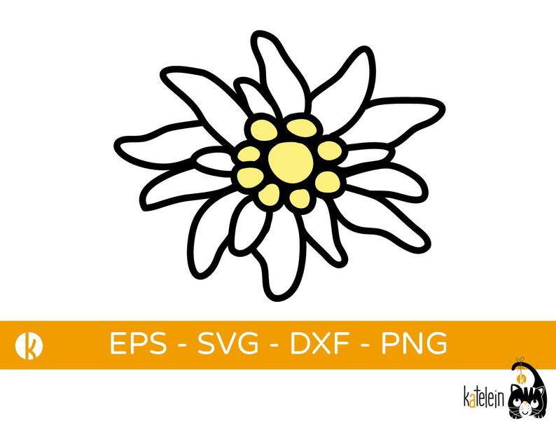 794x604 plotter edelweiss flower clipart dxf png etsy